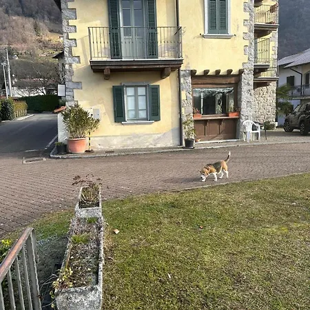 Botton D' Oro